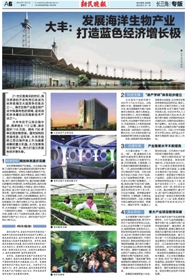 美国版数字报